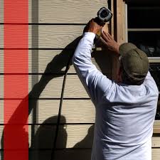 Best Shed Removal  in USA